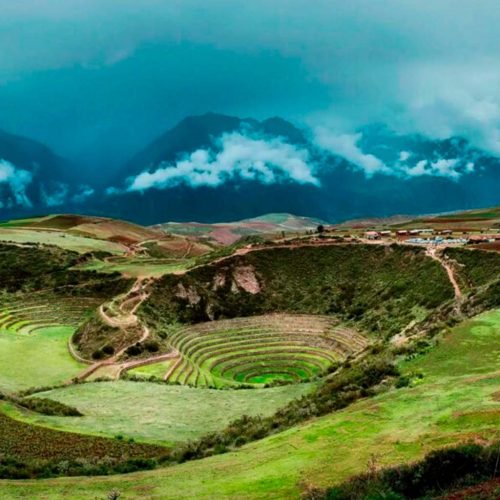 moray6